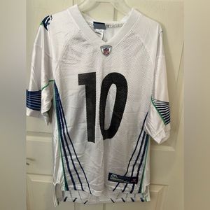 Steelers Super Bowl (43) Holmes jersey.
